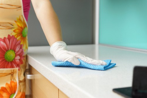 Professional carpet cleaning team providing care in a Mitcham property