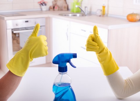 Cleaning equipment and treated carpet area in a domestic setting