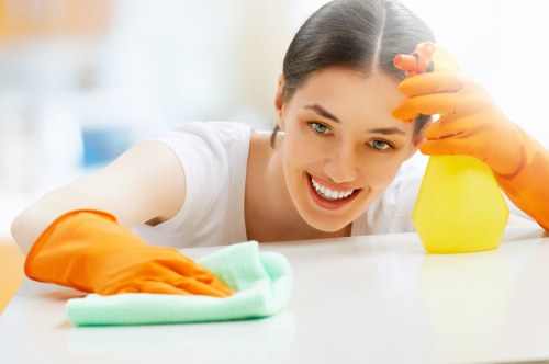 Professional carpet cleaning for pet stain odour removal in Mitcham