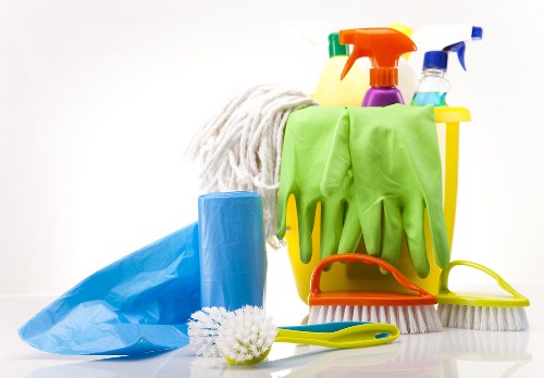 Professional carpet care process during a scheduled cleaning appointment