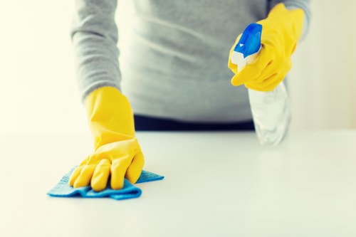 Professional Mitcham carpet cleaners refreshing a living room carpet