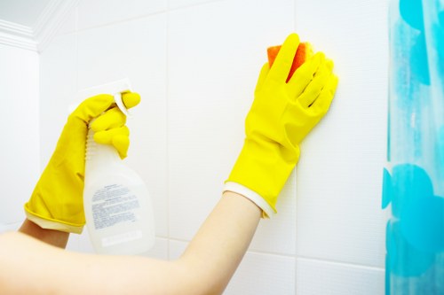 Service provider reviewing cleaning conditions before starting work