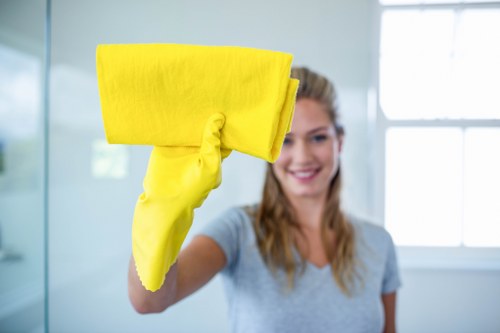 Mitcham carpet cleaning service removing stains and dirt