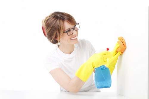 Upholstery odour removal for pet accidents in Mitcham